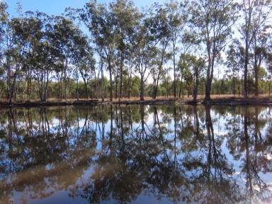 Farm For Sale - QLD - Chinchilla - 4413 - Large Breeder Block  (Image 2)