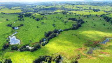 Farm For Sale - QLD - Malanda - 4885 - Quality Grazing I Permanent Water I Views  (Image 2)