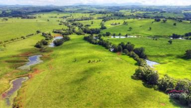 Farm For Sale - QLD - Malanda - 4885 - Quality Grazing I Permanent Water I Views  (Image 2)