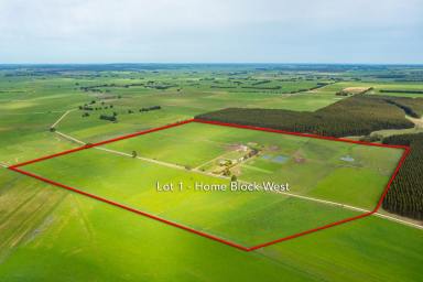 Farm For Sale - VIC - Wallacedale - 3303 - Enterprise Flexibility  (Image 2)