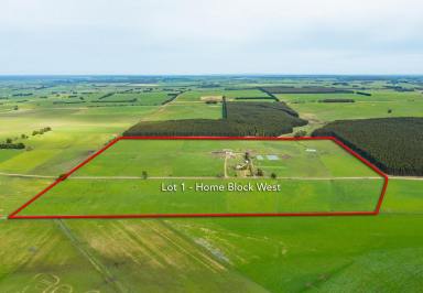 Farm For Sale - VIC - Wallacedale - 3303 - Enterprise Flexibility  (Image 2)