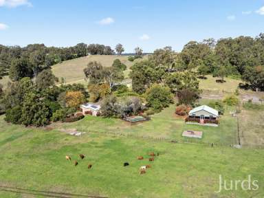 Farm For Sale - NSW - Mount View - 2325 - THARAH - HUNTER VALLEY HOMESTEAD  (Image 2)