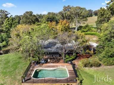 Farm For Sale - NSW - Mount View - 2325 - THARAH - HUNTER VALLEY HOMESTEAD  (Image 2)