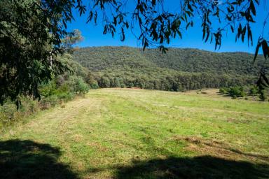 Farm For Sale - VIC - Smoko - 3741 - SMOKO VIC | 60.04AC/24.3HA  (Image 2)