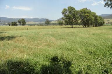 Farm For Sale - VIC - Upper Gundowring - 3691 - "YURNGA" 23.88*Ha/59*Acres  (Image 2)