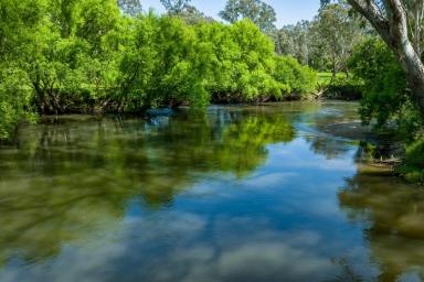 Farm For Sale - VIC - Kergunyah - 3691 - "CROTHERS" KIEWA RIVER FRONTAGE - KERGUNYAH | 370.25AC / 150HA*  (Image 2)