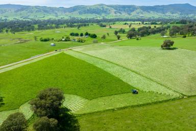 Farm For Sale - VIC - Kergunyah - 3691 - "CROTHERS" KIEWA RIVER FRONTAGE - KERGUNYAH | 370.25AC / 150HA*  (Image 2)