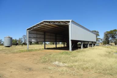 Farm For Sale - NSW - Bidgeemia - 2642 - A PRIME AGRICULTURAL OPPORTUNITY                                                 1574Acres*/636.8Ha*  (Image 2)