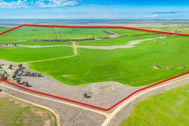 Farm For Sale - NSW - Bidgeemia - 2642 - A PRIME AGRICULTURAL OPPORTUNITY                                                 1574Acres*/636.8Ha*  (Image 2)