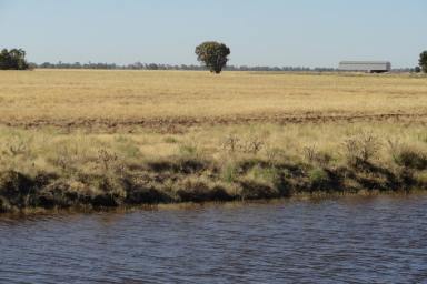 Farm For Sale - NSW - Bidgeemia - 2642 - A PRIME AGRICULTURAL OPPORTUNITY                                                 1574Acres*/636.8Ha*  (Image 2)