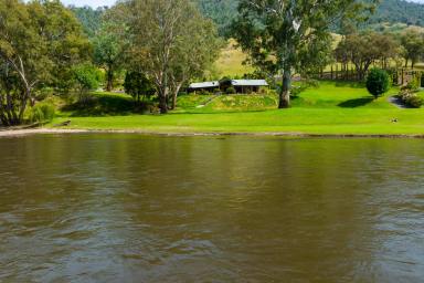 Farm For Sale - NSW - Jingellic - 2642 - RESTVPOINT : A Riverfront Oasis 4.25 *Ha
IMMACULATE IN EVERY ASPECT  (Image 2)