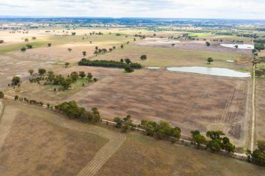 Farm For Sale - VIC - Rutherglen - 3685 - POLICE PADDOCKS RD RUTHERGLEN- 243 Acres*/98.21Ha*  (Image 2)