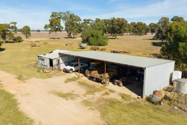 Farm For Sale - NSW - Corowa - 2646 - CARINGA - COROWA- NSW- 1254 ACRES/507.5HA*  (Image 2)