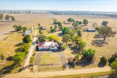 Farm For Sale - NSW - Corowa - 2646 - CARINGA - COROWA- NSW- 1254 ACRES/507.5HA*  (Image 2)