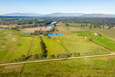 Farm For Sale - NSW - Albury - 2640 - OUTSTANDING MURRAY RIVER PROPERTY ON ALBURY'S DOORSTEP | 200.79 Acres/ 81.26 Ha WITH BUILDING ENTITLEMENT.  (Image 2)