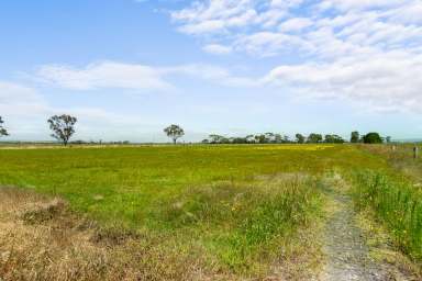 Farm For Sale - VIC - Nambrok - 3847 - Just add Water!  (Image 2)