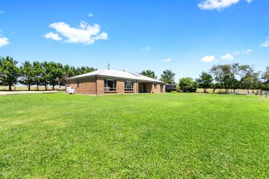 Farm For Sale - VIC - Rosedale - 3847 - Rural living on Rosedale's doorstep  (Image 2)