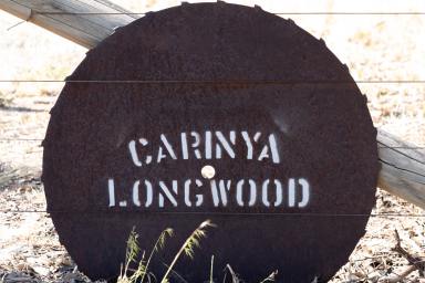 Farm For Sale - VIC - Longwood - 3665 - "Carinya" Equine/Lifestyle/Farm - Euroa/Longwood District  (Image 2)