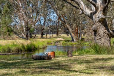 Farm For Sale - VIC - Longwood - 3665 - "Carinya" Equine/Lifestyle/Farm - Euroa/Longwood District  (Image 2)