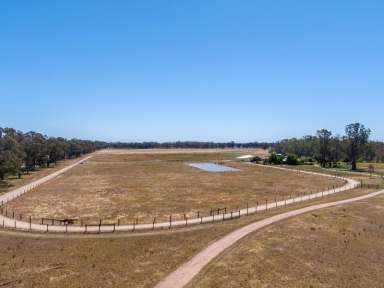 Farm Auction - VIC - Longwood - 3665 - "Carinya Farm" is Equine/Cattle/Lifestyle = Diversity!  (Image 2)