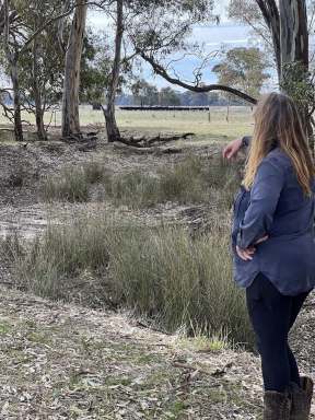 Farm Auction - VIC - Molka - 3666 - 47 Acres with Harry's Creek frontage, Now that's Lifestyle!  (Image 2)