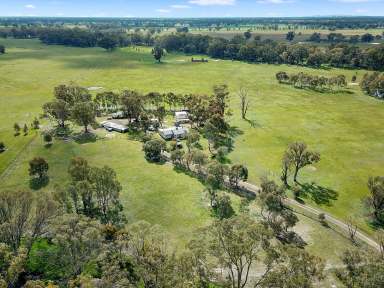 Farm For Sale - VIC - Molka - 3666 - NEW PRICE RANGE 47 Acres and charming country cottage  (Image 2)