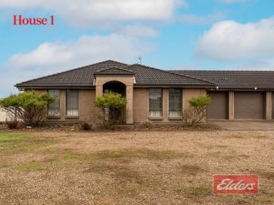 Farm For Sale - SA - Lower Light - 5501 - OUTSTANDING HOUSE ON 48 ACRES  (Image 2)