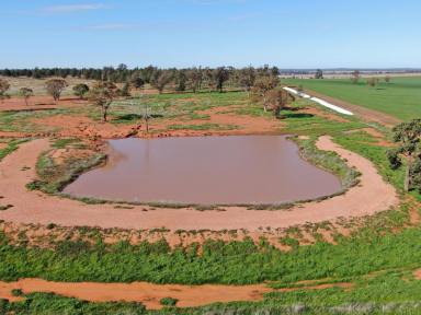 Farm For Sale - NSW - Tallimba - 2669 - Great Value Cropping Property  (Image 2)