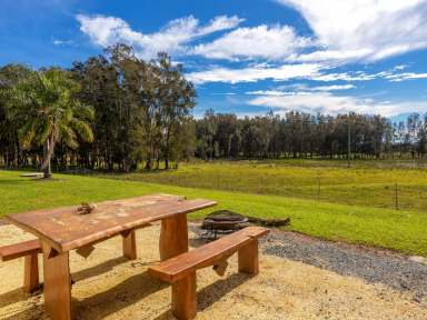 Farm For Sale - NSW - Oxley Island - 2430 - FARMHOUSE ON THE COAST  (Image 2)