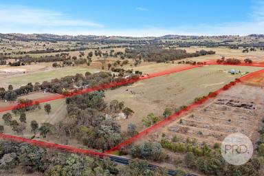 Farm For Sale - NSW - Jindera - 2642 - JINDERA DEVELOPMENT OPPORTUNITY - EXPRESSIONS OF INTEREST  (Image 2)