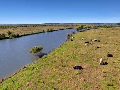 Farm For Sale - NSW - Palmers Channel - 2463 - Lifestyle Farm Minutes To Yamba  (Image 2)