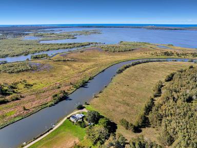 Farm For Sale - NSW - Palmers Channel - 2463 - Lifestyle and Coastal Living  (Image 2)