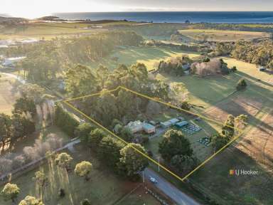 Farm For Sale - TAS - Wesley Vale - 7307 - Your Tasmanian Heritage Lifestyle  (Image 2)