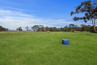 Farm For Sale - NSW - South Windsor - 2756 - Equestrian, Land Bank OR Rebuild Opportunity on 5 Acres  (Image 2)