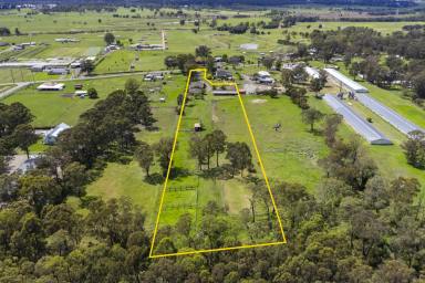 Farm For Sale - NSW - South Windsor - 2756 - Equestrian, Land Bank OR Rebuild Opportunity on 5 Acres  (Image 2)