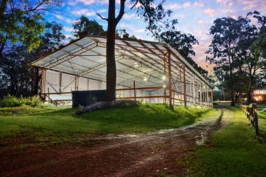 Farm For Sale - NSW - East Kurrajong - 2758 - Impressive Equine Property with Stylishly Renovated Home  (Image 2)