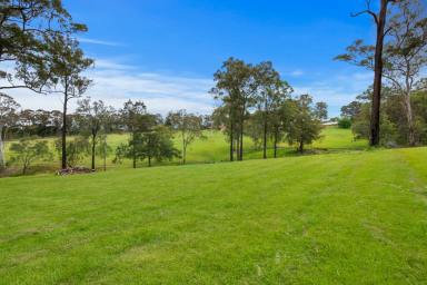 Farm For Sale - NSW - Grose Vale - 2753 - 'Bellview' Rural Lifestyle On 20+ Acres  (Image 2)