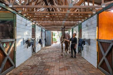 Farm For Sale - NSW - Ebenezer - 2756 - Unleash Your Equestrian Dreams: A Rare 25-Acre Oasis Awaits!  (Image 2)
