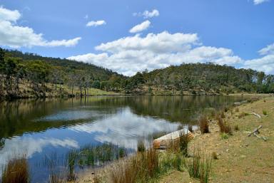 Farm For Sale - TAS - Whitefoord - 7120 - Immaculate Midlands Cropping & Fattening Property  (Image 2)