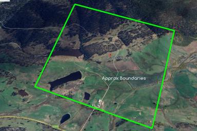 Farm For Sale - TAS - Whitefoord - 7120 - Immaculate Midlands Cropping & Fattening Property  (Image 2)