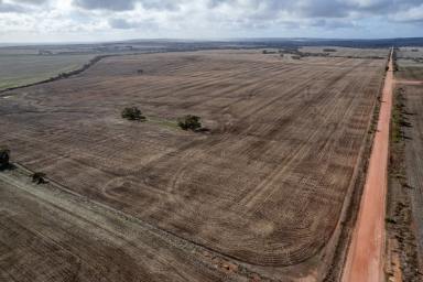 Farm Auction - SA - Ungarra - 5607 - 'MATEENIA' - 62 Degners Road, Ungarra  (Image 2)