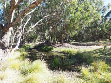 Farm For Sale - NSW - Stannum - 2371 - New England Grazing/Hobby Farm  (Image 2)