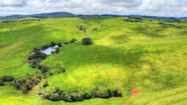 Farm For Sale - QLD - Evelyn - 4888 - HIGH RAINFALL GRAZING OPPORTUNITY  (Image 2)