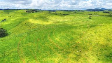 Farm For Sale - QLD - Evelyn - 4888 - HIGH RAINFALL GRAZING OPPORTUNITY  (Image 2)