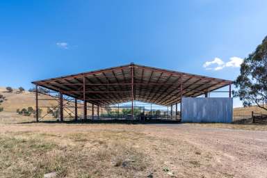 Farm For Sale - VIC - Bonnie Doon - 3720 - QUALITY HIGH COUNTRY CATTLE GRAZING & LIFESTLYE OPPORTUNITY  (Image 2)