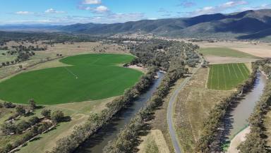 Farm For Sale - QLD - Maidenhead - 4385 - COMMERCIAL SCALE FEEDLOT & MIXED FARMING ENTERPRISE  (Image 2)