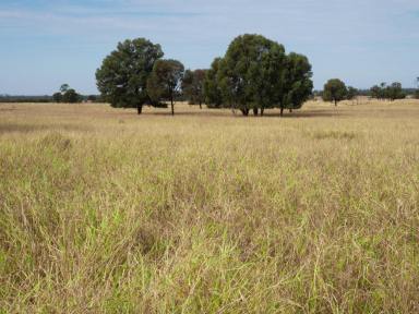 Farm Auction - QLD - Baralaba - 4702 - Freehold  (Image 2)