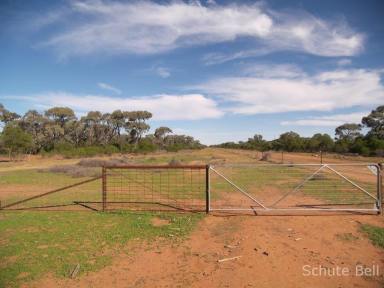 Farm For Sale - NSW - Collerina - 2839 - Excellent make up block  (Image 2)