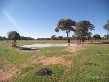 Farm For Sale - NSW - Collerina - 2839 - Excellent make up block  (Image 2)