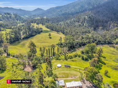 Farm For Sale - NSW - Verona - 2550 - The Perfect Combination of Pastural Land + Bush  (Image 2)